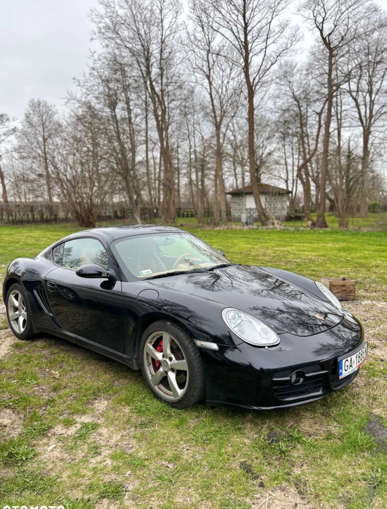 Porsche Cayman cena 119800 przebieg: 200000, rok produkcji 2007 z Gdynia małe 56